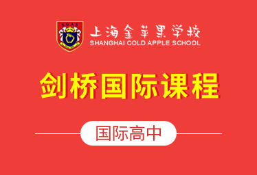 上海金苹果学校国际高中（剑桥国际课程）图片