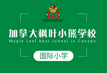 加拿大枫叶小熊学校国际小学图片