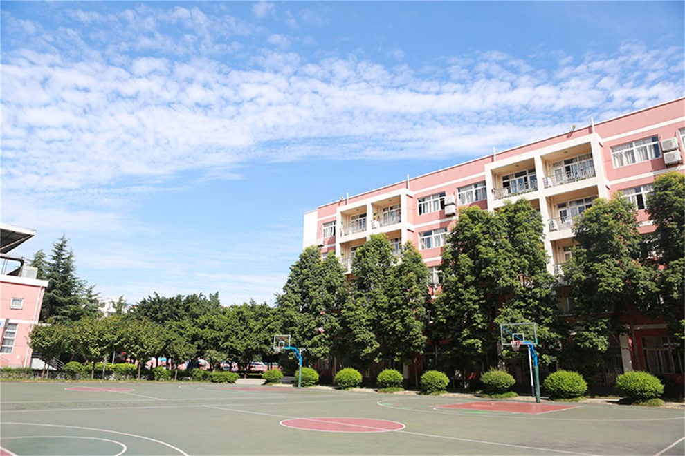 成都嘉祥国际高中校园篮球场图集