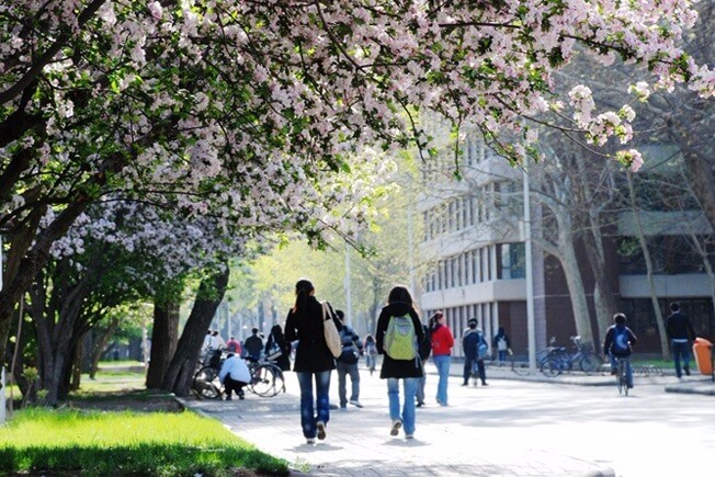 天津大学A-Level国际教育中心春季景观图片4