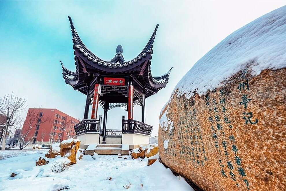天津大学A-Level国际教育中心冬季景观图片1