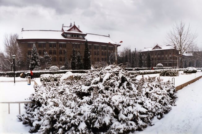 天津大学A-Level国际教育中心冬季景观图片2