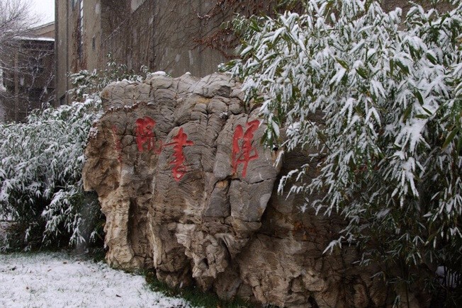 天津大学A-Level国际教育中心冬季景观图片4