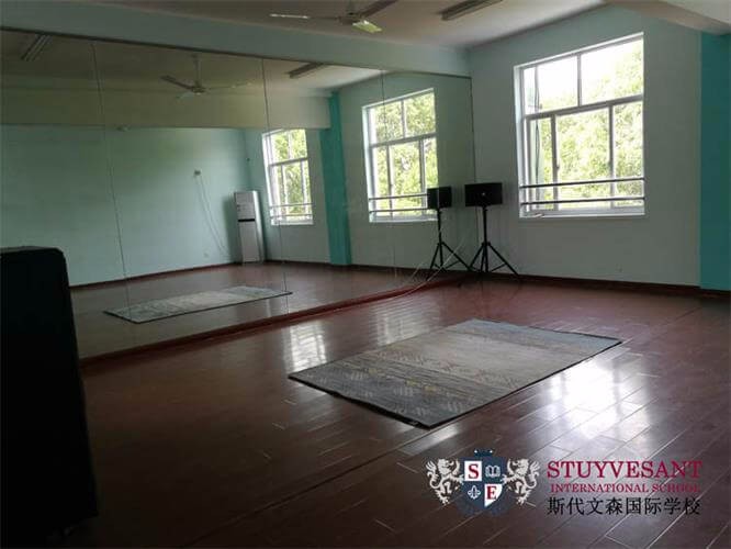 上海斯代文森国际学校学校教室图片3