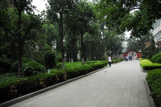 北京市第八十中学国际部校园风景图片04