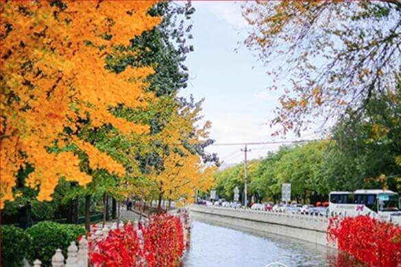 北京一零一中学国际班秋季美景图集