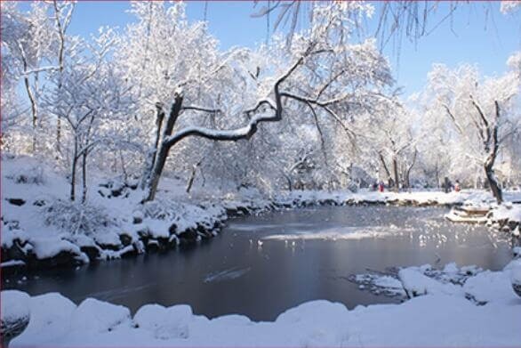 北京一零一中学国际班冬季美景图集