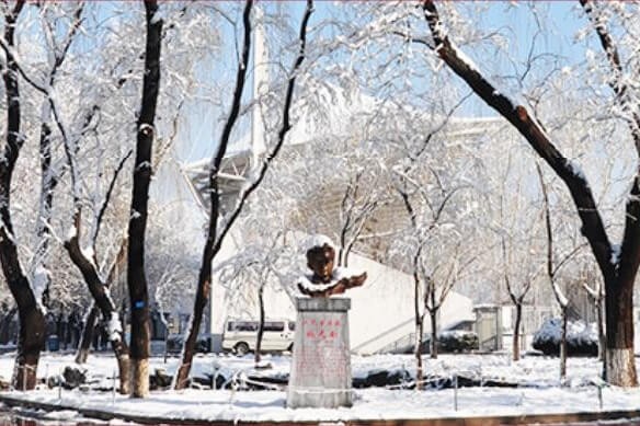 北京一零一中学国际班冬季美景图片02