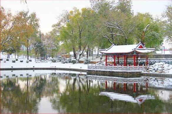 北京一零一中学国际班冬季美景图片03