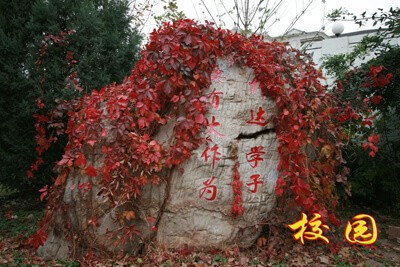 北京市师达中学校园石雕图片04
