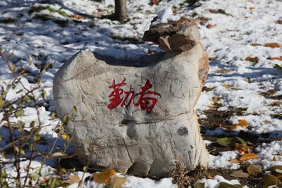 北京市师达中学校园石雕图片05