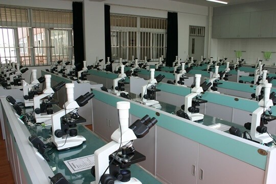 南京师范大学附属中学国际部生物实验室图片