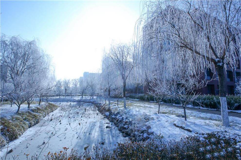 衡水第一中学国际部冬季景观图片04