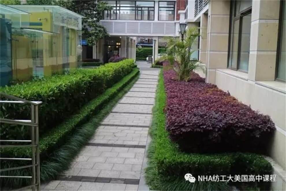 上海新虹桥中学NHA国际高中校园环境图片05