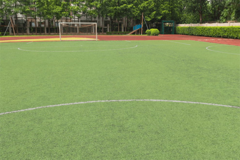上海耀中外籍人员子女学校运动场所图片01