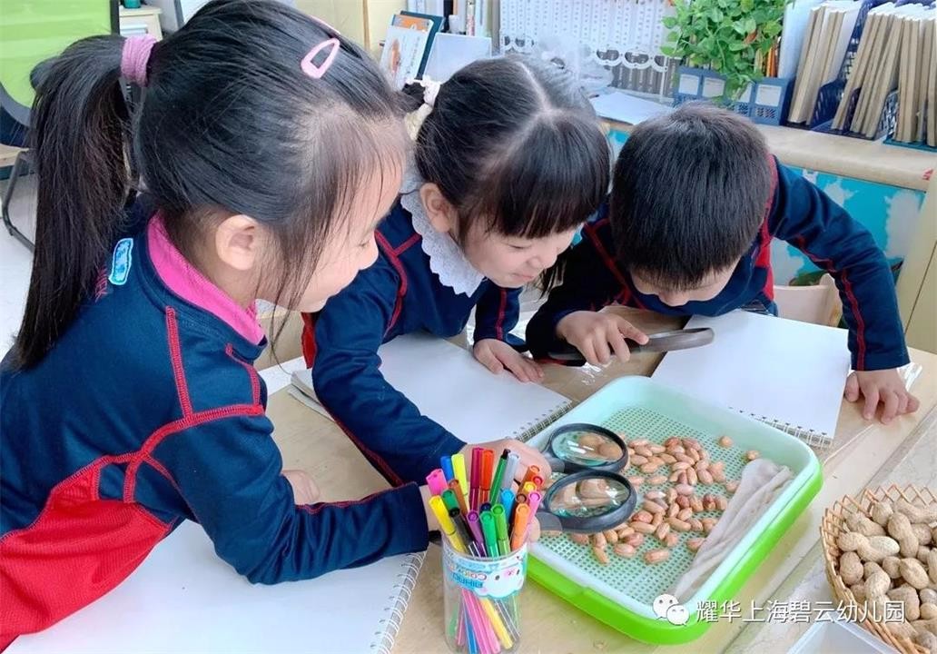 上海耀华国际教育幼儿园丰收节图片04