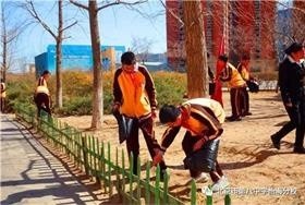 北京八中怡海分校国际部践行雷锋精神图片