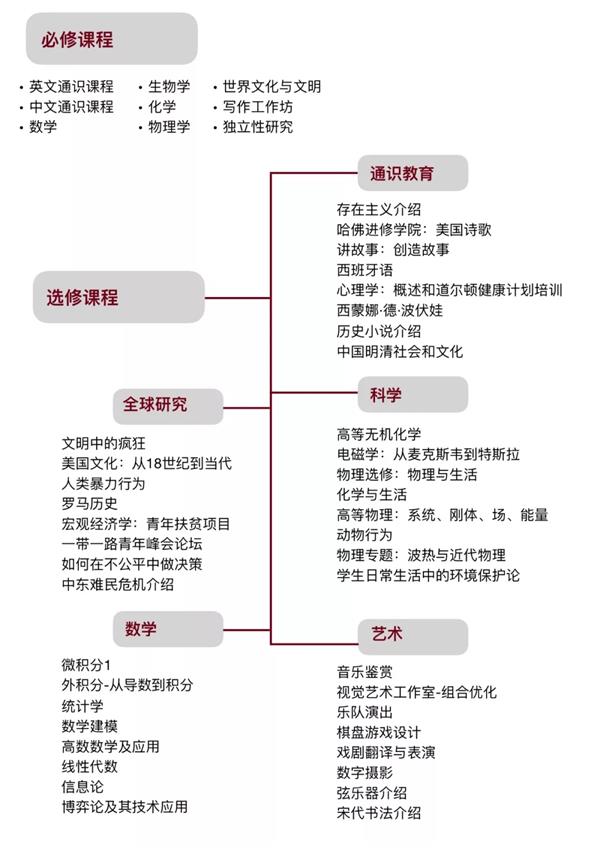 北京大学附属中学国际高中课程设置图