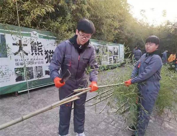 学生砍竹子图片