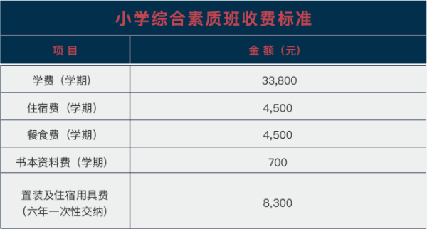 武汉海淀外国语实验学校国际小学（综合素质班）收费标准