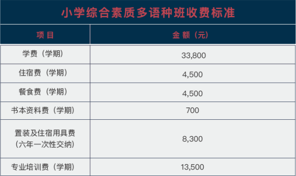 武汉海淀外国语实验学校国际小学（综合素质多语种班）收费标准