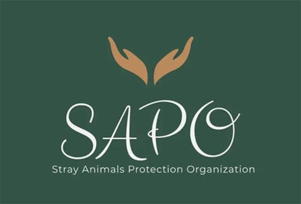 博格思加州学校：保护动物，加入SAPO，别让人类成为最孤单的生命02