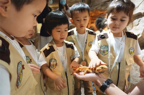 上海黄浦区民办玛诺利娅主题幼儿园帮助孩子们了地球生物图片2