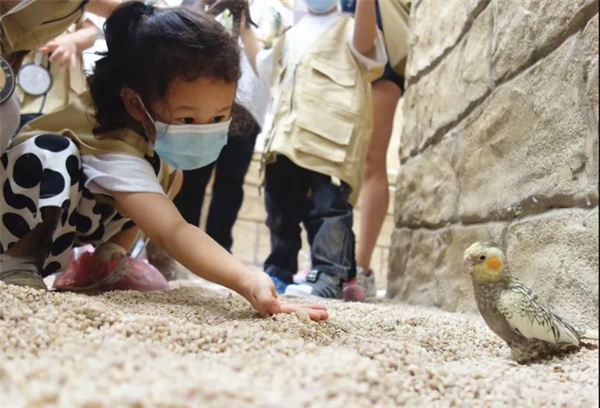 上海黄浦区民办玛诺利娅主题幼儿园帮助孩子们了地球生物图片3