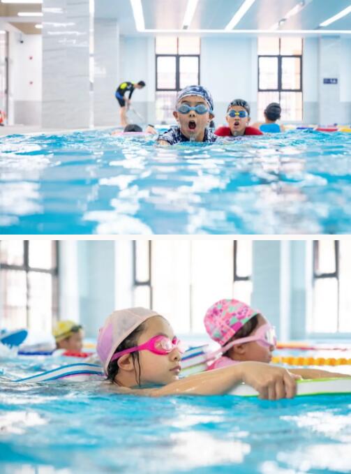 巴德美际学校成都校区学生学习游泳图片4