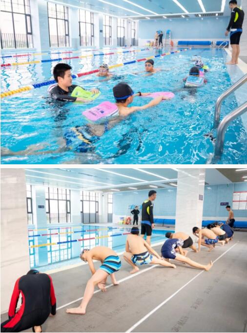 巴德美际学校成都校区学生学习游泳图片8