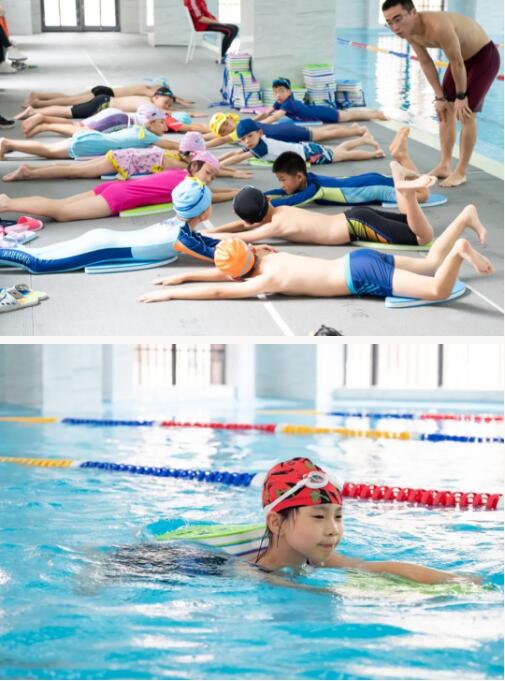 巴德美际学校成都校区学生学习游泳图片11