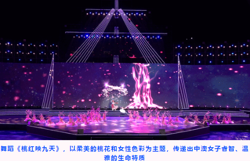 深圳市桃源居中澳实验学校第五届体育艺术节开幕式图片2