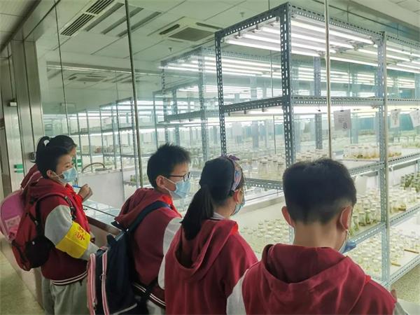 武汉外国语学校美加分校科技体验之旅图片6