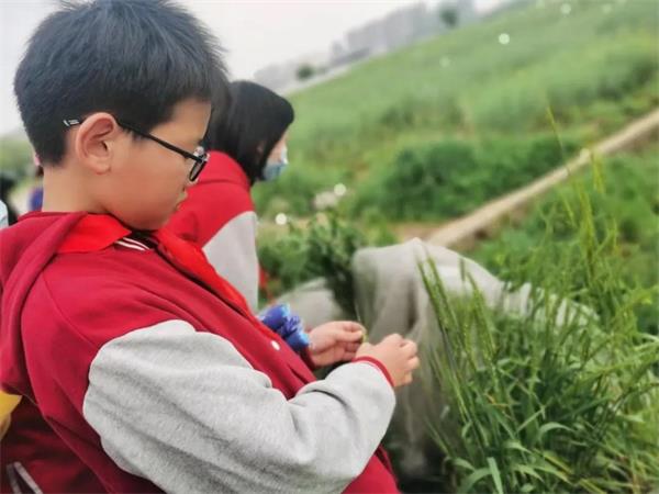 武汉外国语学校美加分校科技体验之旅图片10