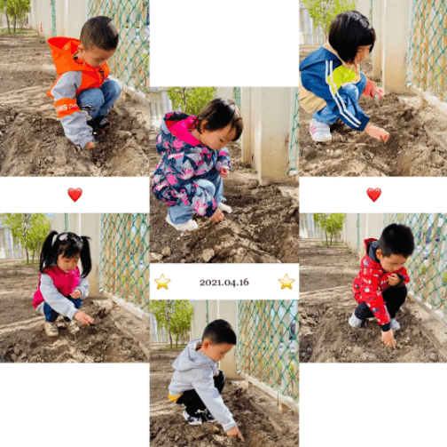天津艾毅国际幼儿园春游之旅图片3