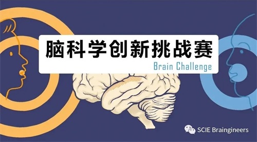 脑科学创新挑战赛